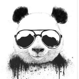 -snowy1