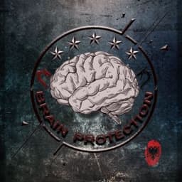 BRProtection
