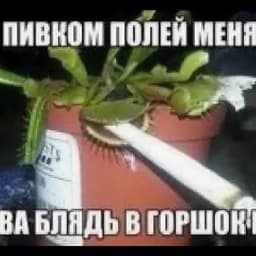 nakyl1ti