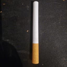 mikepigen69