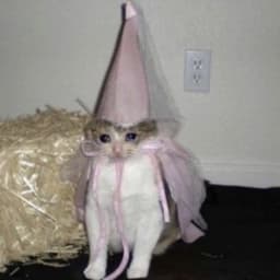 Babofingo