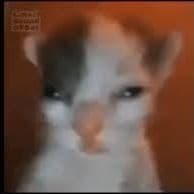 g0ttagofast