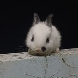 FudoNot
