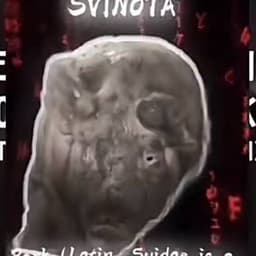 entavl