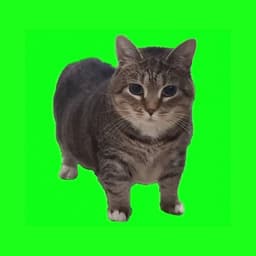 vi3tti3nn