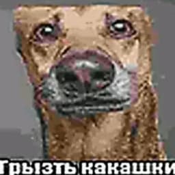 Pidorvpotok3