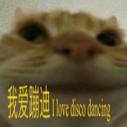 bwop