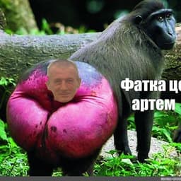 Sallayy