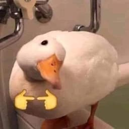 Rare_ducky