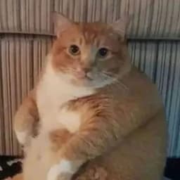 25578