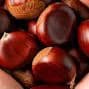 Castane