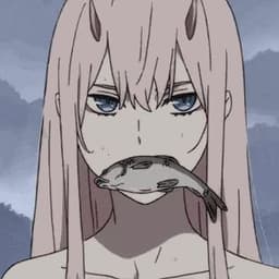 Daroui