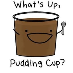 LowFatPuddin
