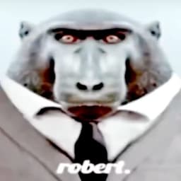 marrak55