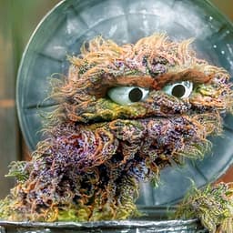 bob3d