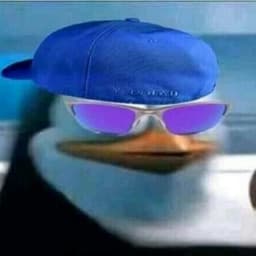 roi_z