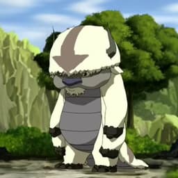 im_appa