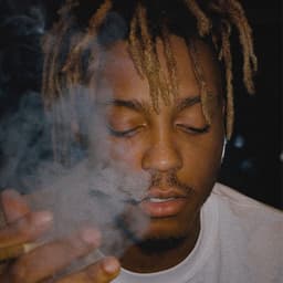 LM06