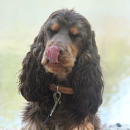 Fluffrulle