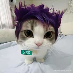 M_I_K_S_A