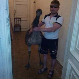 2weefdwsf