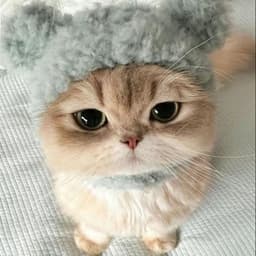 FleePS7