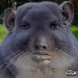 So3h