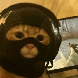 AltSurvivor