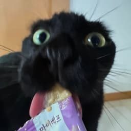 yFhd_