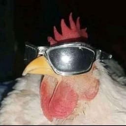 0deq0