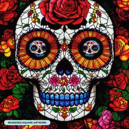SkuLL505