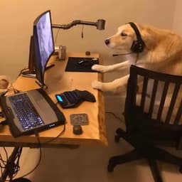 DJ69AXE