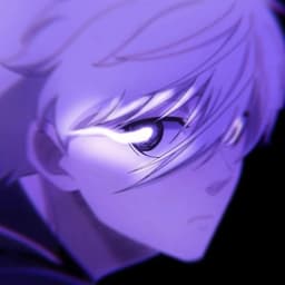 NN_FLAICE