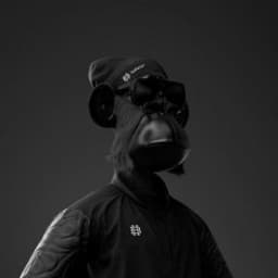 FriZokEr02