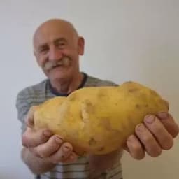 _CZESIO_