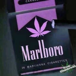 _H4pp1n3ss_