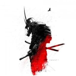 havvk-