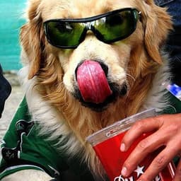 cokeuser