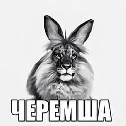 Perfect_AS