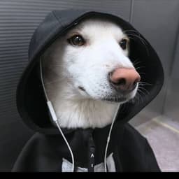sshreder