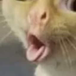 SythicX