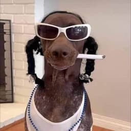 flouddi