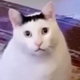 Virgin_Break