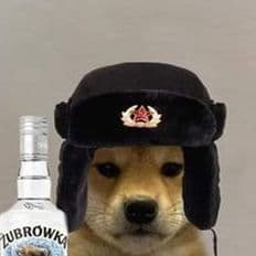 kuuudi