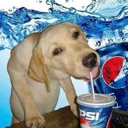 pepsiisgood