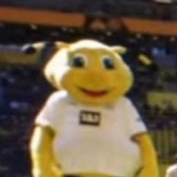 d3ntii