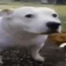 ZeR0nulla