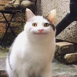 saymepls