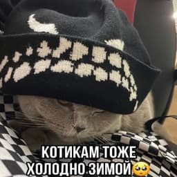 wwttt