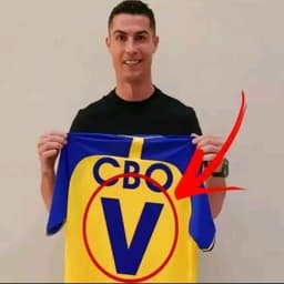OzelotickxD